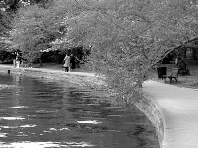 A Walk Around the Potomac Park