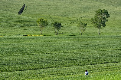 immerso nel verde