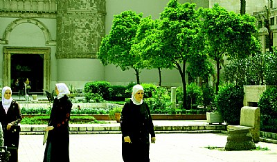 Women at the Museum
