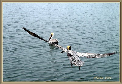 On Final Approach