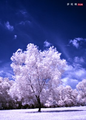 IR#
