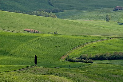 Orcia valley