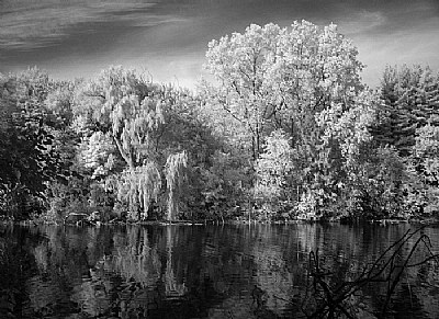 Johnson Pond 07-4 (IR)