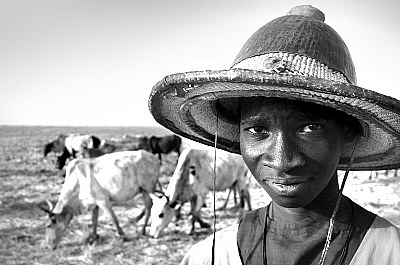 Shepherd in Mopti (Mali)