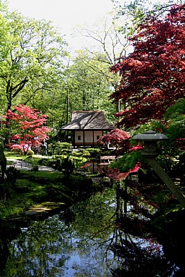 Clingendael,Japanse Tuin 2