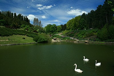 Uman park, Ukraine