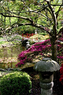 Clingendael Japanse Tuin 5