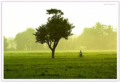 journey of life is like a man riding bicycle.