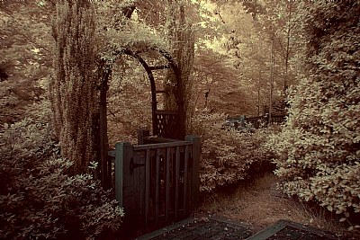 Garden gate...