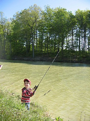 learning how to fishing...