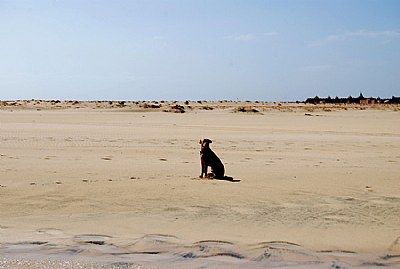 Desert dune..... and me.