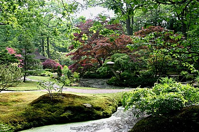 Japanese Garden Clingendael8