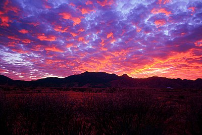 Arizona Sunset