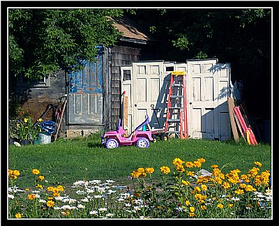 Flowers and Junk