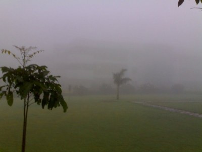 A Misty Morning