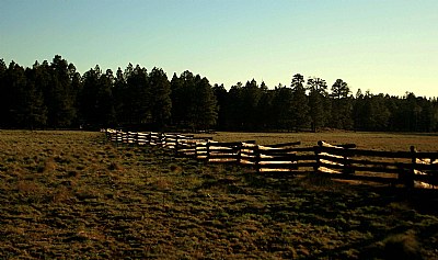 Fence