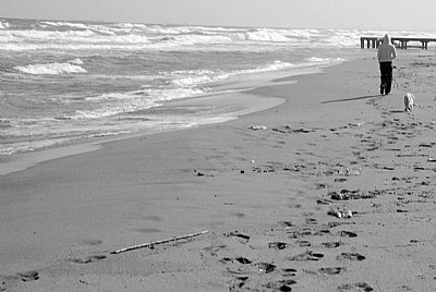 a beach in winter