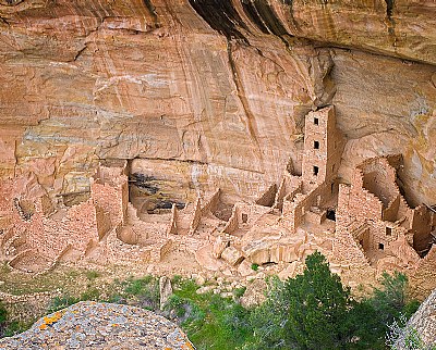 Mesa Verde Dwellings