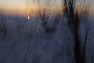 sunset snow and trees