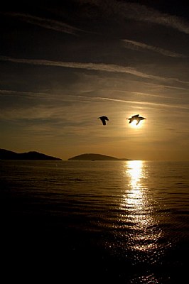sun set