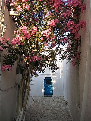 narrow streets