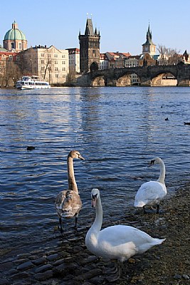 Prague