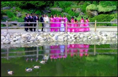 Wedding  Reflection