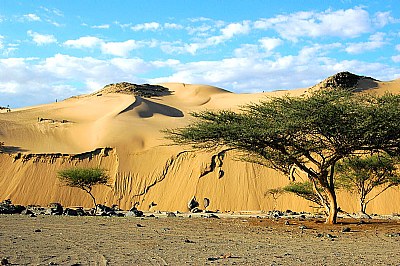 dunes after rain