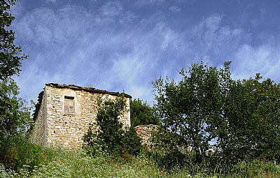 remote house during spring