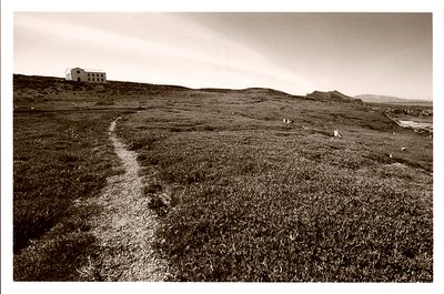 Trail of Anacapa