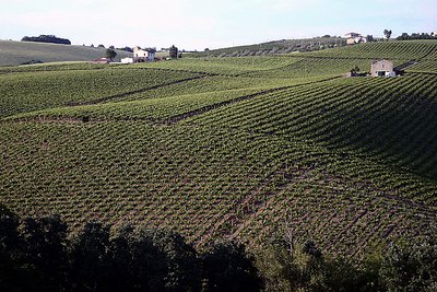 Hills.