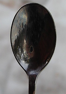 Spoon Reflection