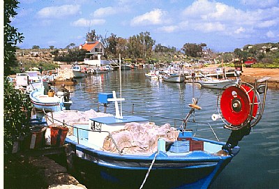 Fishing boats