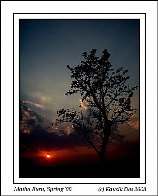 Alone!