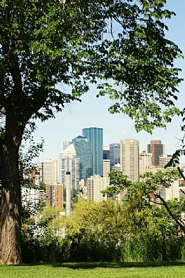 Edmonton Skyline