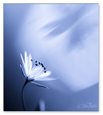The blue hour