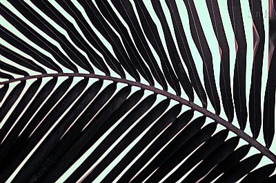 green lines