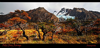 Patagonian Plains
