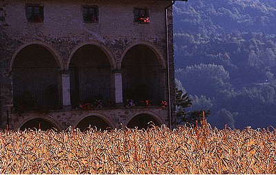 Una casa nel grano