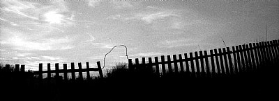 fences