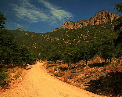 Mountain Road