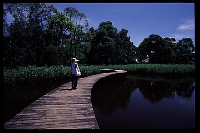 Crossing the bridge