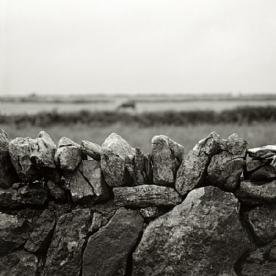 Stones, horse and grey sky = Ireland