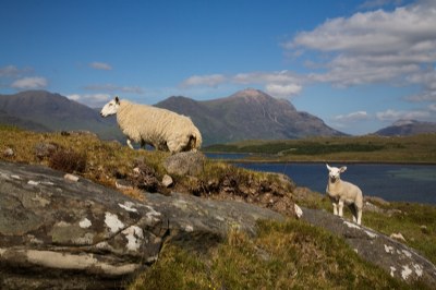 Scotland