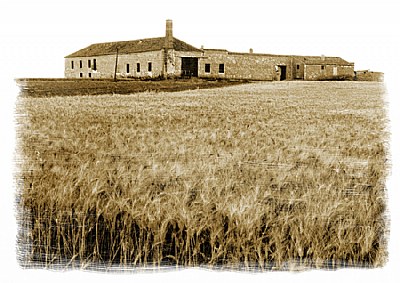 The Abandoned Farm