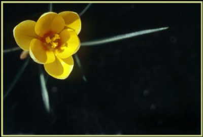 Threefold symmetry in the corner