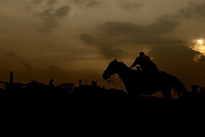 italian cowboy