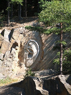 Rocks do have ears!