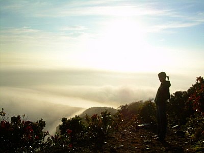 waiting for the sun