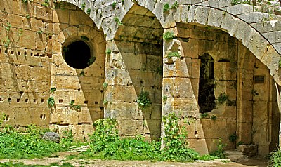 Arches & Light